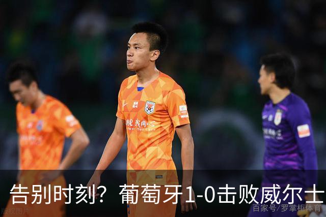 告别时刻？葡萄牙1-0击败威尔士或是C罗国家队的终章