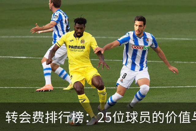 转会费排行榜：25位球员的价值与流动性解析